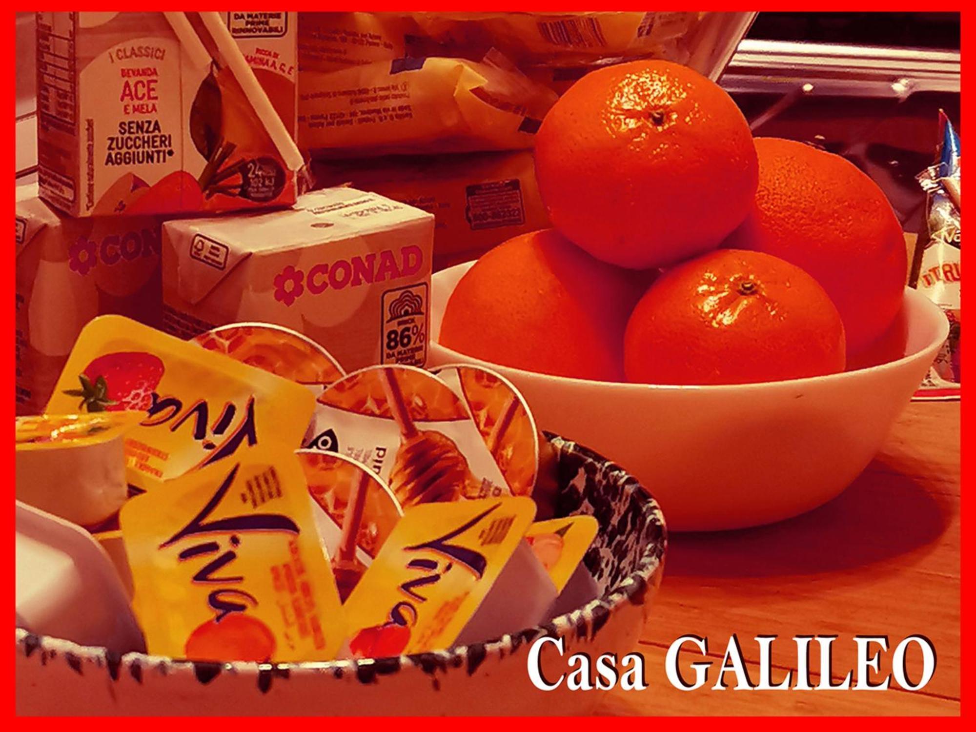 Casa Galileo- Antiche Dimore Pisane Экстерьер фото